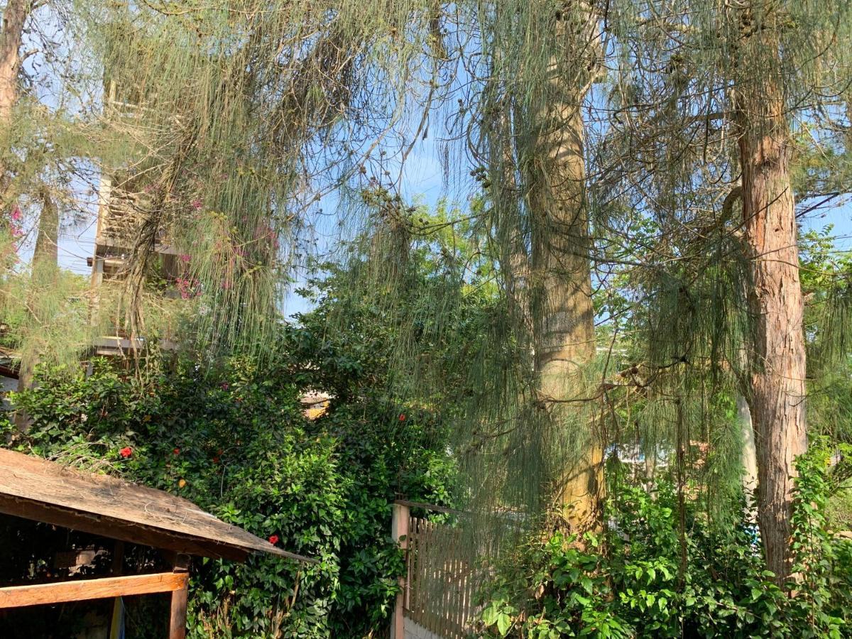 מונטניטה La Posada De Mary מראה חיצוני תמונה